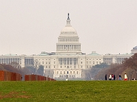 The Capitol